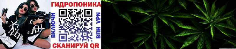 omg маркетплейс  Белая Холуница  Канабис конопля 